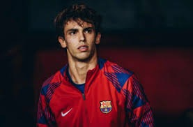 日职联战报：热尔曼破门，广岛三箭2-1战胜湘南丽海